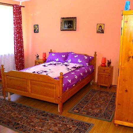 Apartament Iulia Geoagiu Băi المظهر الخارجي الصورة