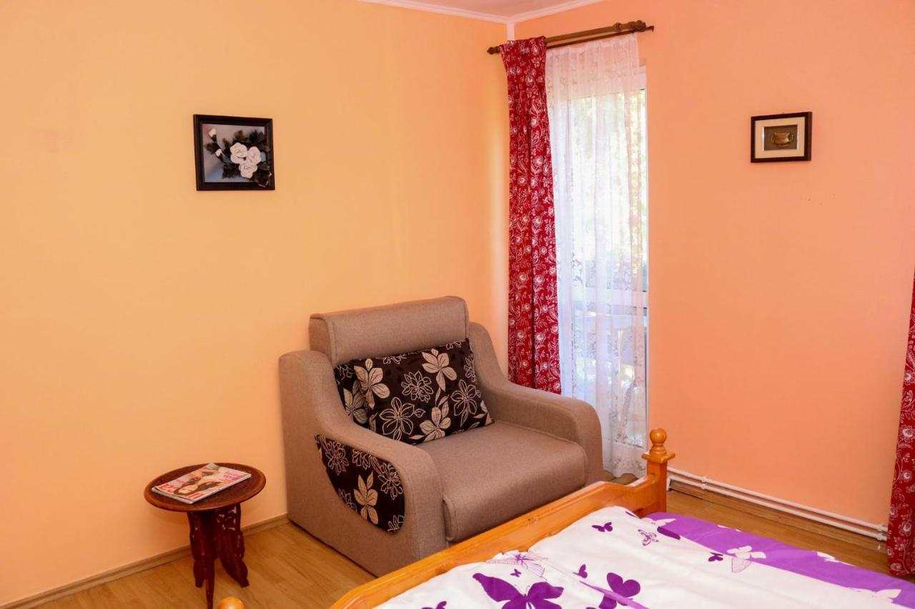 Apartament Iulia Geoagiu Băi المظهر الخارجي الصورة