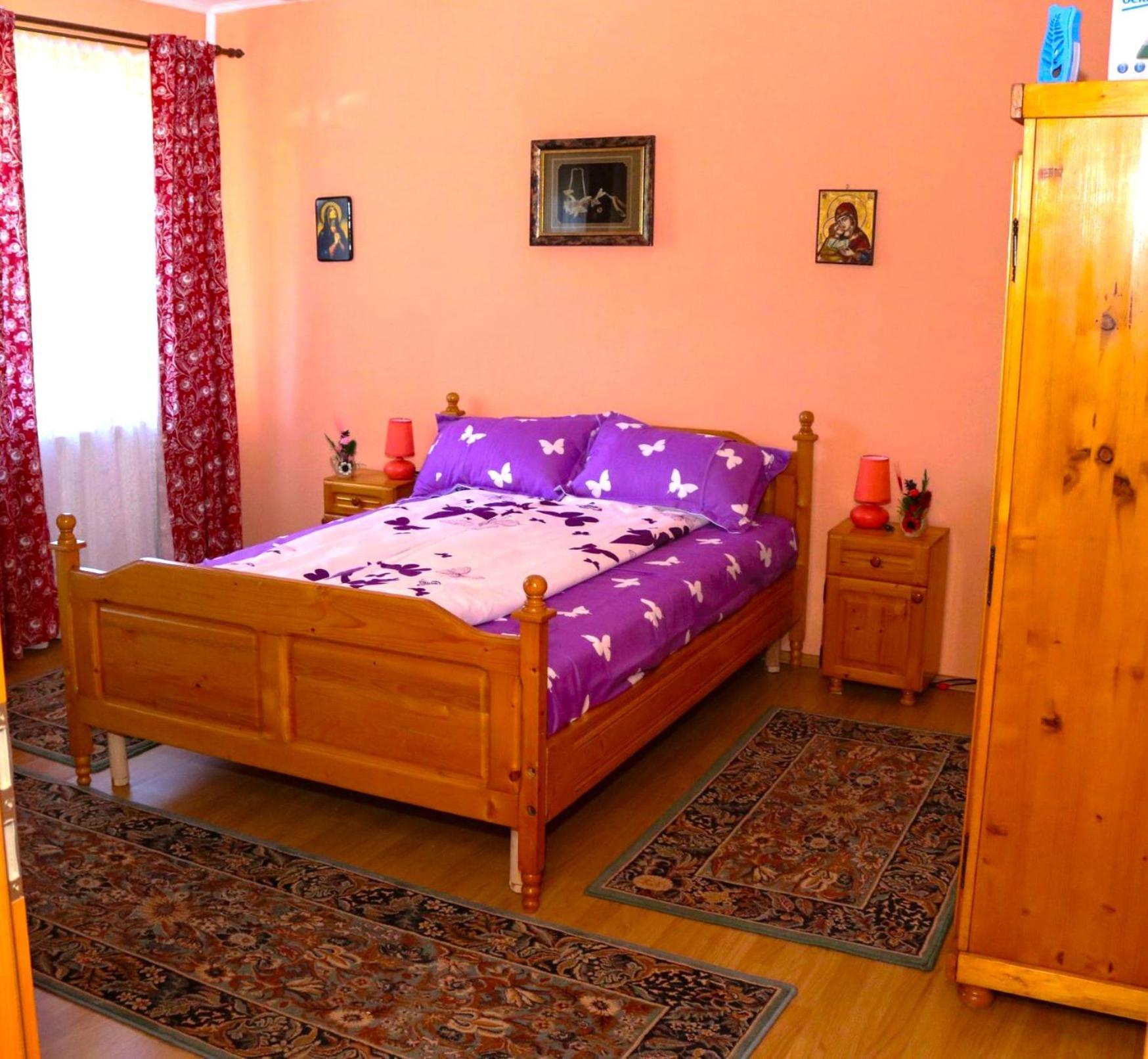 Apartament Iulia Geoagiu Băi المظهر الخارجي الصورة