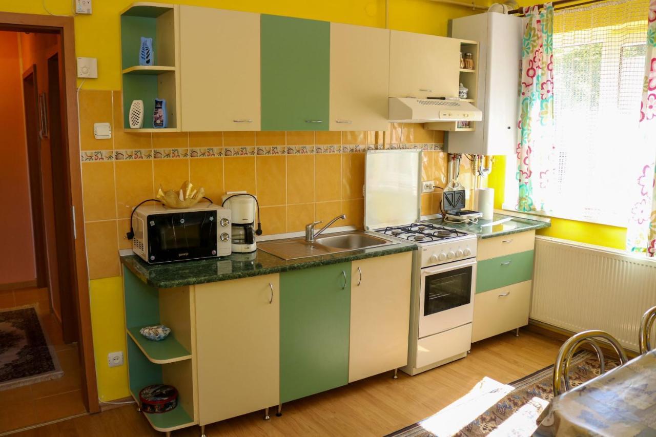 Apartament Iulia Geoagiu Băi المظهر الخارجي الصورة